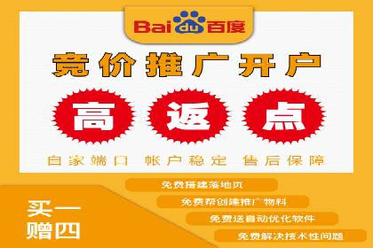 SEM竞价优化技巧分享：成功案例揭秘